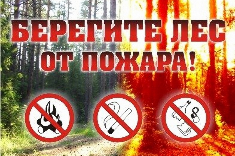 Памятки «О правилах пожарной безопасности в лесах».