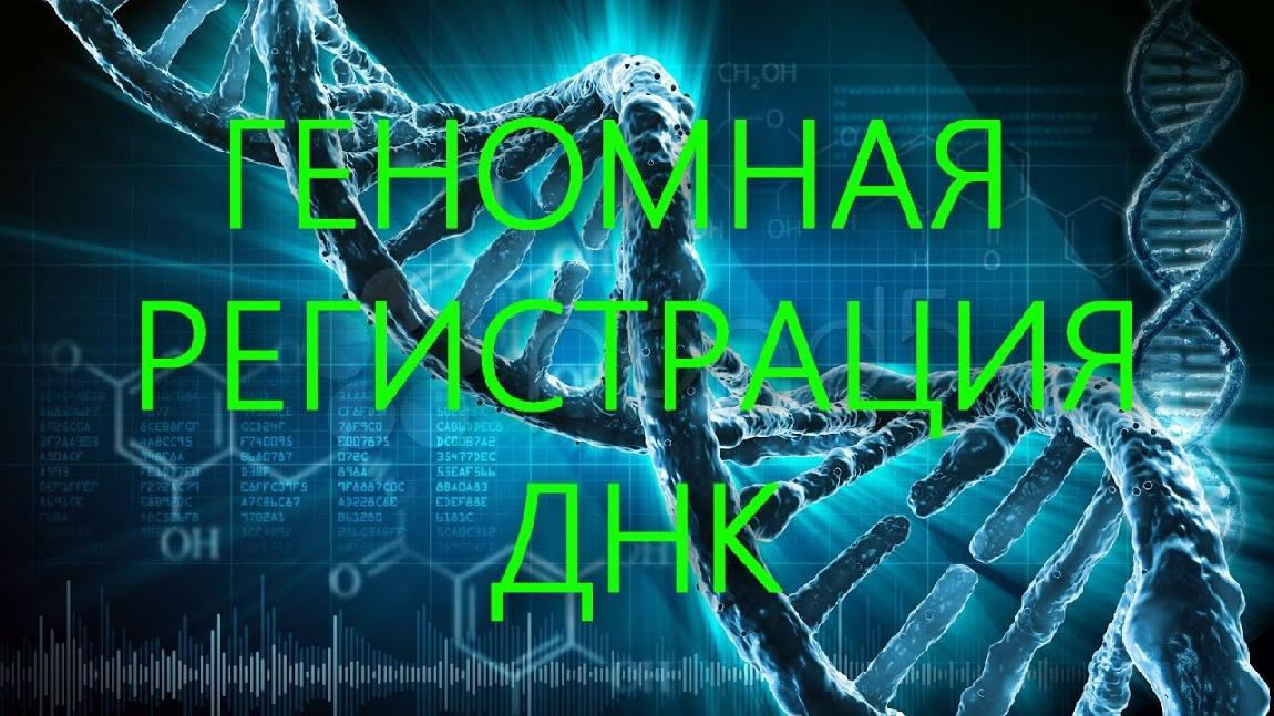 С 1 января 2025 года лица, подвергнутые административному аресту, подлежат обязательной государственной геномной регистрации.