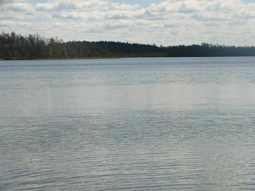 Виды поселения.